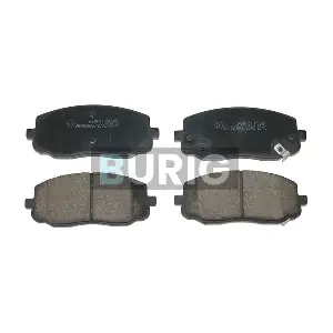 B020475 Burig
