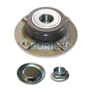 B100112 Burig