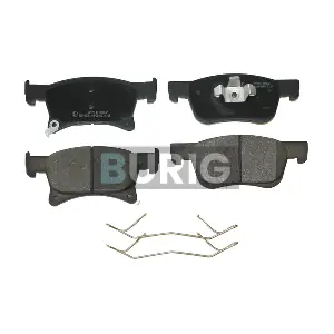 B020323 Burig