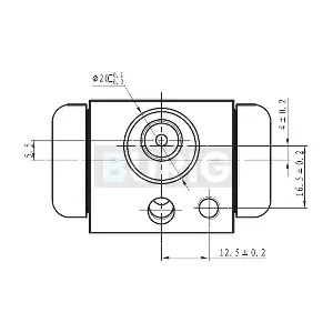 B090023 Burig