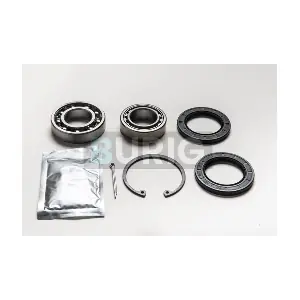 B100350 Burig