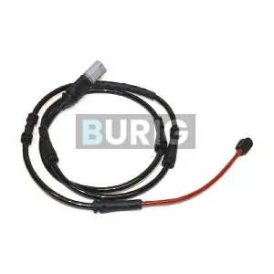 B070060 Burig