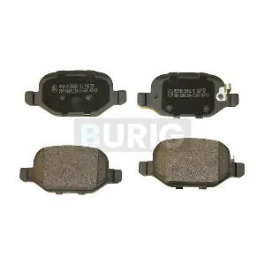 Burig B020491