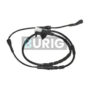 B070024 Burig