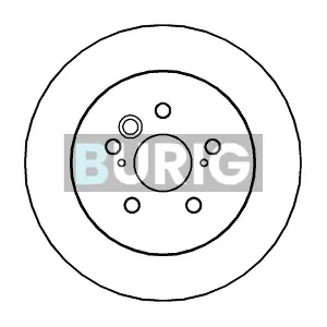 B010297 Burig