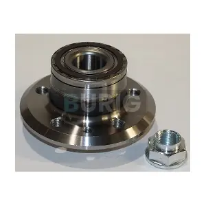 B100241 Burig