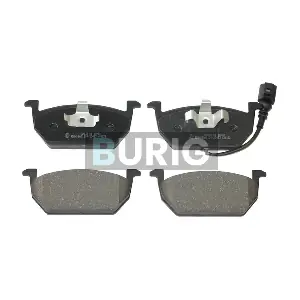 B020152 Burig