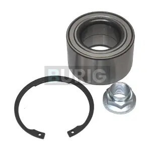 B100102 Burig