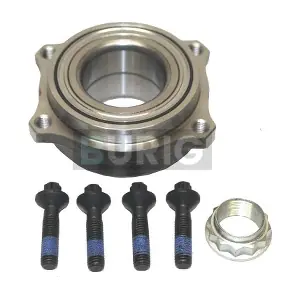 B100235 Burig