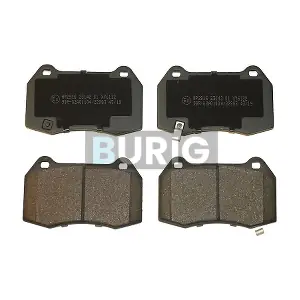 B020596 Burig