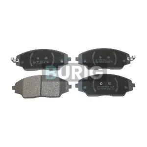 B020610 Burig