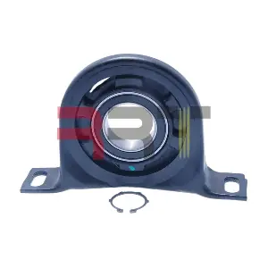 RBZ-090003 RRT