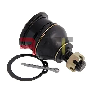 RNI-260010 RRT