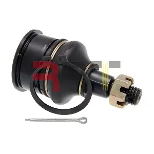RAC-260001 RRT