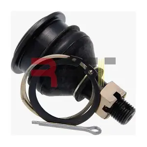 RNI-260018 RRT