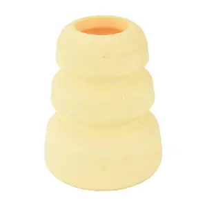 RCH-010020 RRT