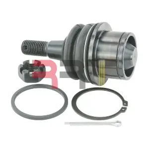 RCD-260003 RRT