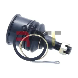 RHD-260033 RRT