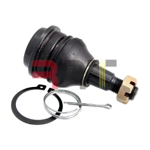 RMB-260023 RRT