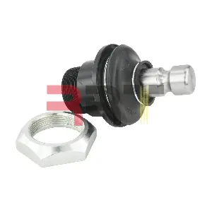 RLR-260037 RRT