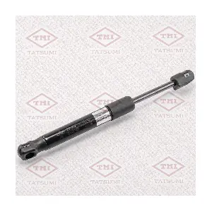 TAF1039 TATSUMI