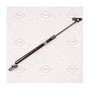 TAF1088 TATSUMI