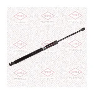 TAF1245 TATSUMI