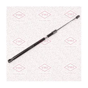 TAF1204 TATSUMI
