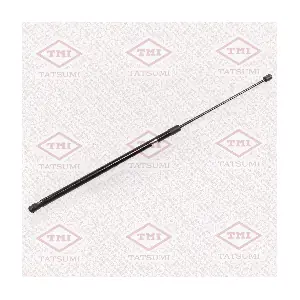 TAF1140 TATSUMI