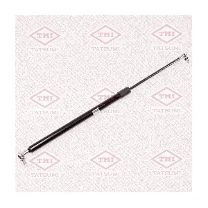 TAF1079 TATSUMI