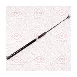 TAF1100 TATSUMI