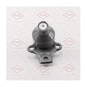 TATSUMI TEA1081
