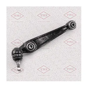 TATSUMI TEE1702R