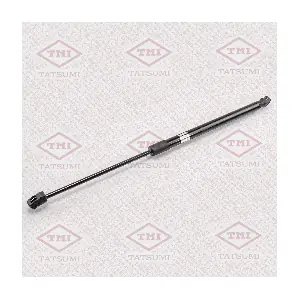 TAF1045 TATSUMI