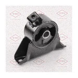 TEG1307 TATSUMI