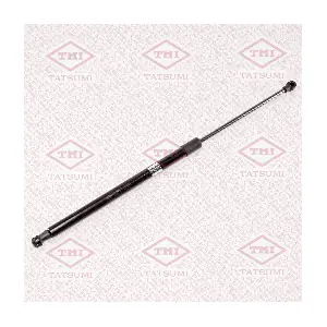 TAF1077 TATSUMI