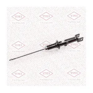 TAA5193 TATSUMI