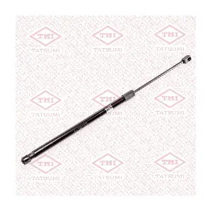 TAF1119 TATSUMI