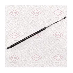 TAF1131 TATSUMI