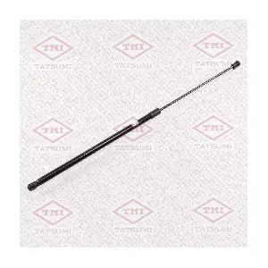 TAF1130 TATSUMI