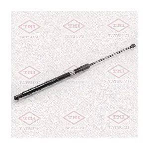 TAF1043 TATSUMI
