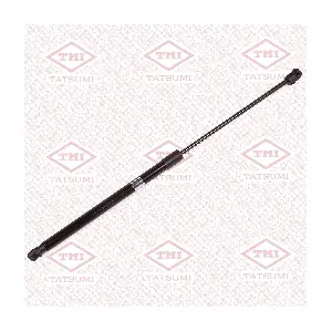 TAF1229 TATSUMI