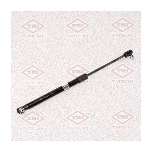 TATSUMI TAF1078