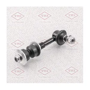 TEB1028 TATSUMI
