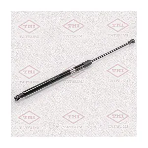 TAF1014 TATSUMI
