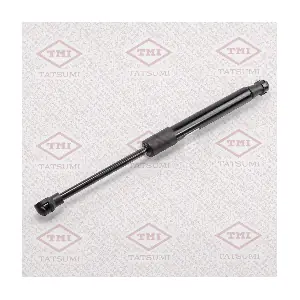 TAF1057 TATSUMI