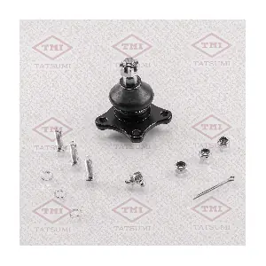TATSUMI TEA1025