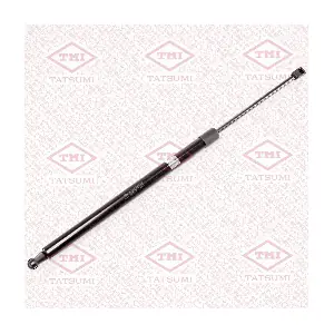 TAF1125 TATSUMI