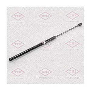 TAF1021 TATSUMI