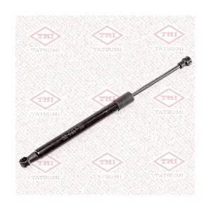 TAF1127 TATSUMI